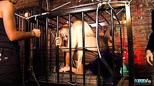 Four blonde babes in a cage get their tight holes fucked by cock