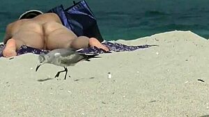 Wife's exhibitionist moment: Husbands film her nude beach