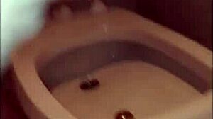 Compilation of steamy pissing scenes and explosive cumshots in close-up.